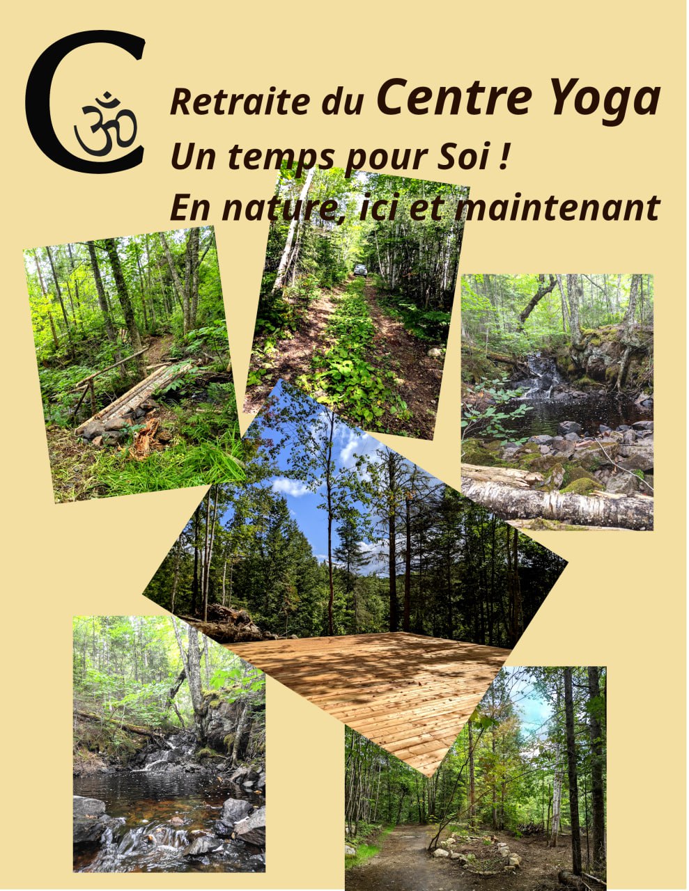 Retraite de Yoga et Méditation en nature dans la forêt boréal 